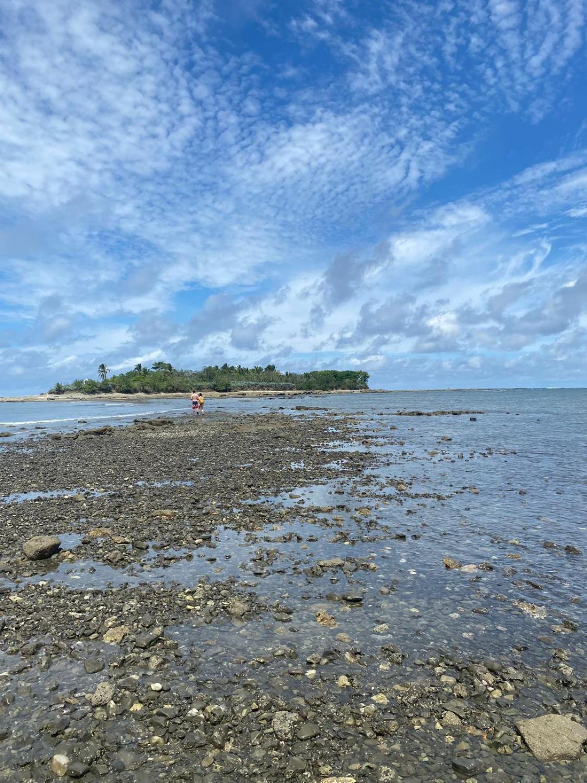 Cabuya Deer House Cabuya公寓 外观 照片