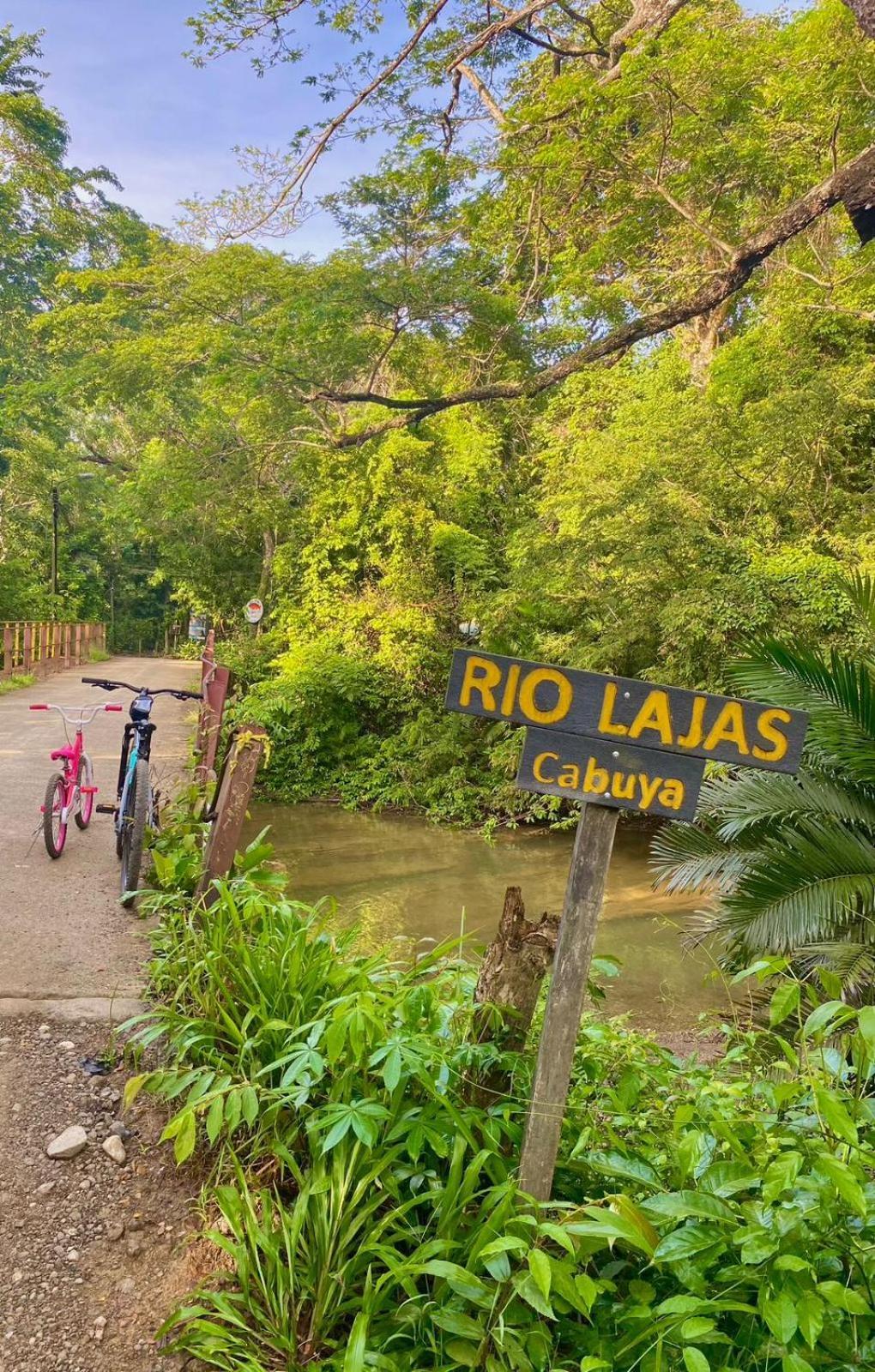 Cabuya Deer House Cabuya公寓 外观 照片