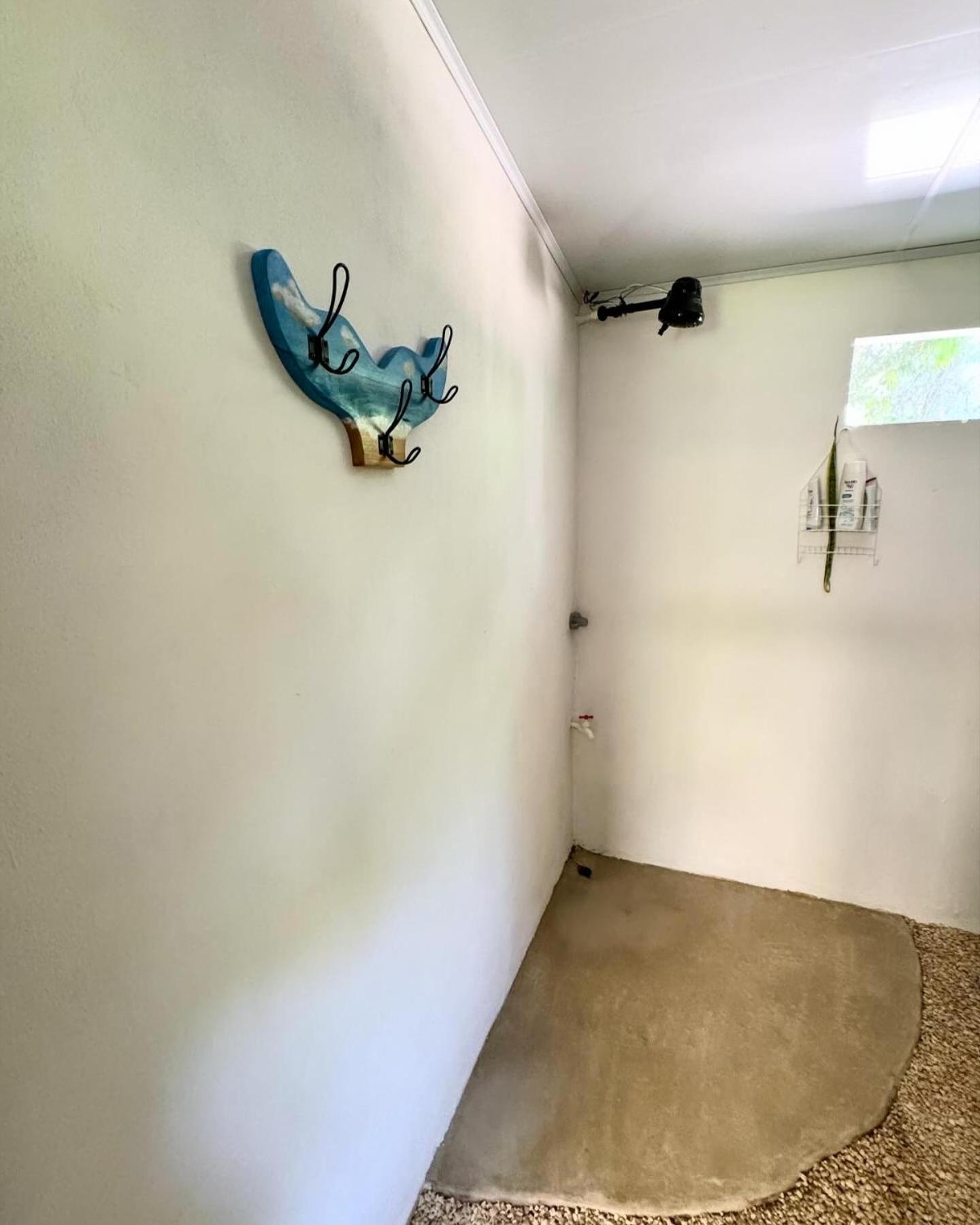 Cabuya Deer House Cabuya公寓 外观 照片