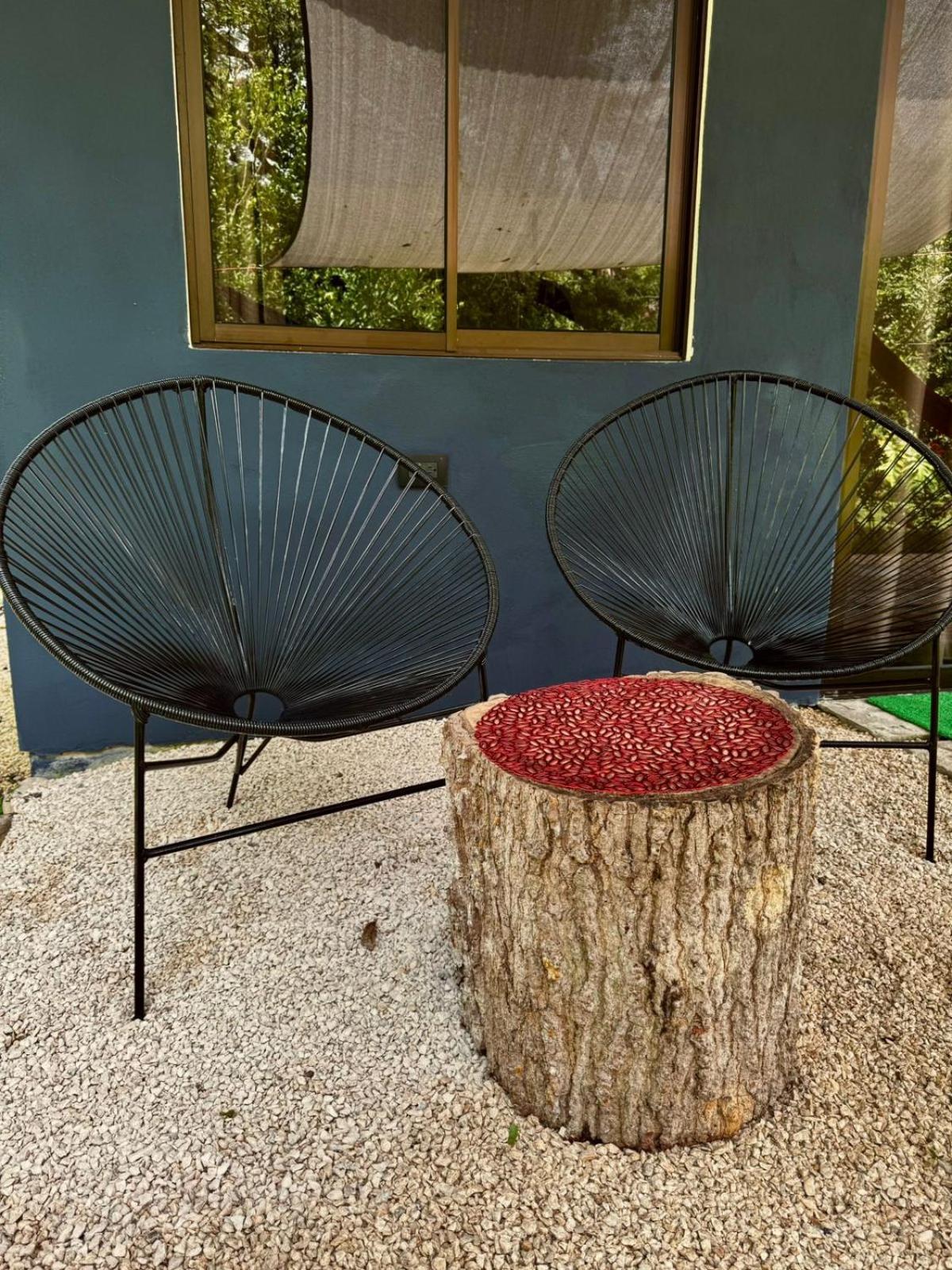 Cabuya Deer House Cabuya公寓 外观 照片
